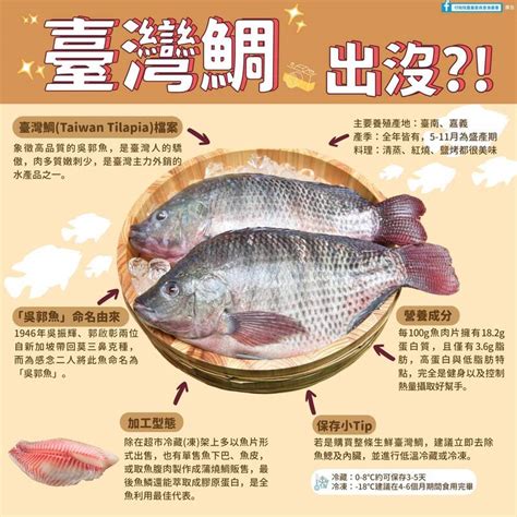 魚的品種|魚類 